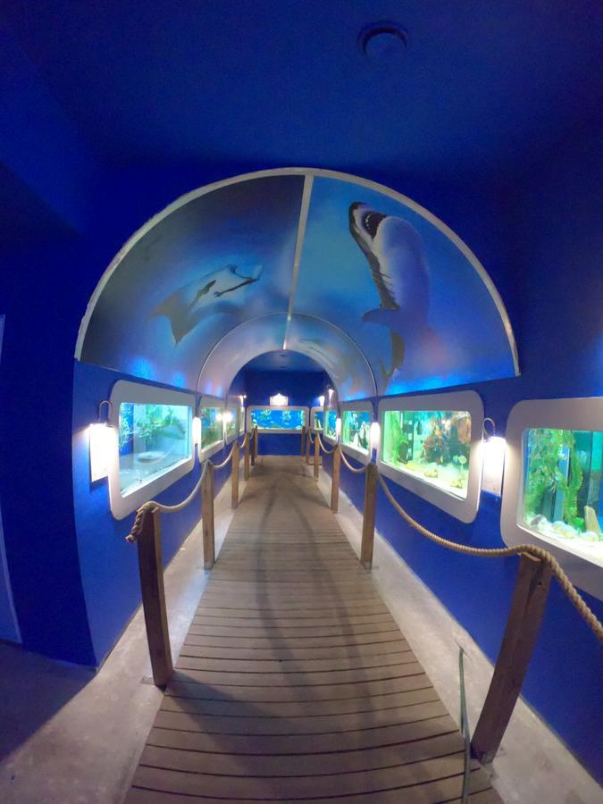 ウェバ Dolphin House Bed & Breakfast エクステリア 写真